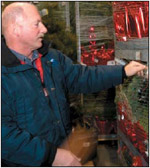Railex Washington Manager Jim Kleist says Railex’s biggest “surprise” has been shipments of fresh nursery stock from Oregon’s Willamette Valley to New York. This pallet of fresh Holiday greens is ready to go. Photo by Donna Lasater